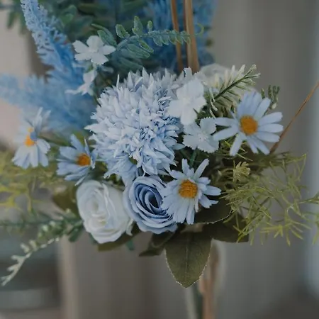 Stella Di Mare 公寓