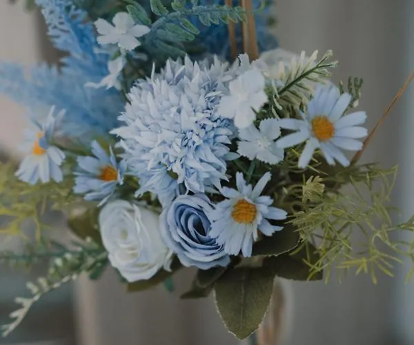 Stella Di Mare Appartement